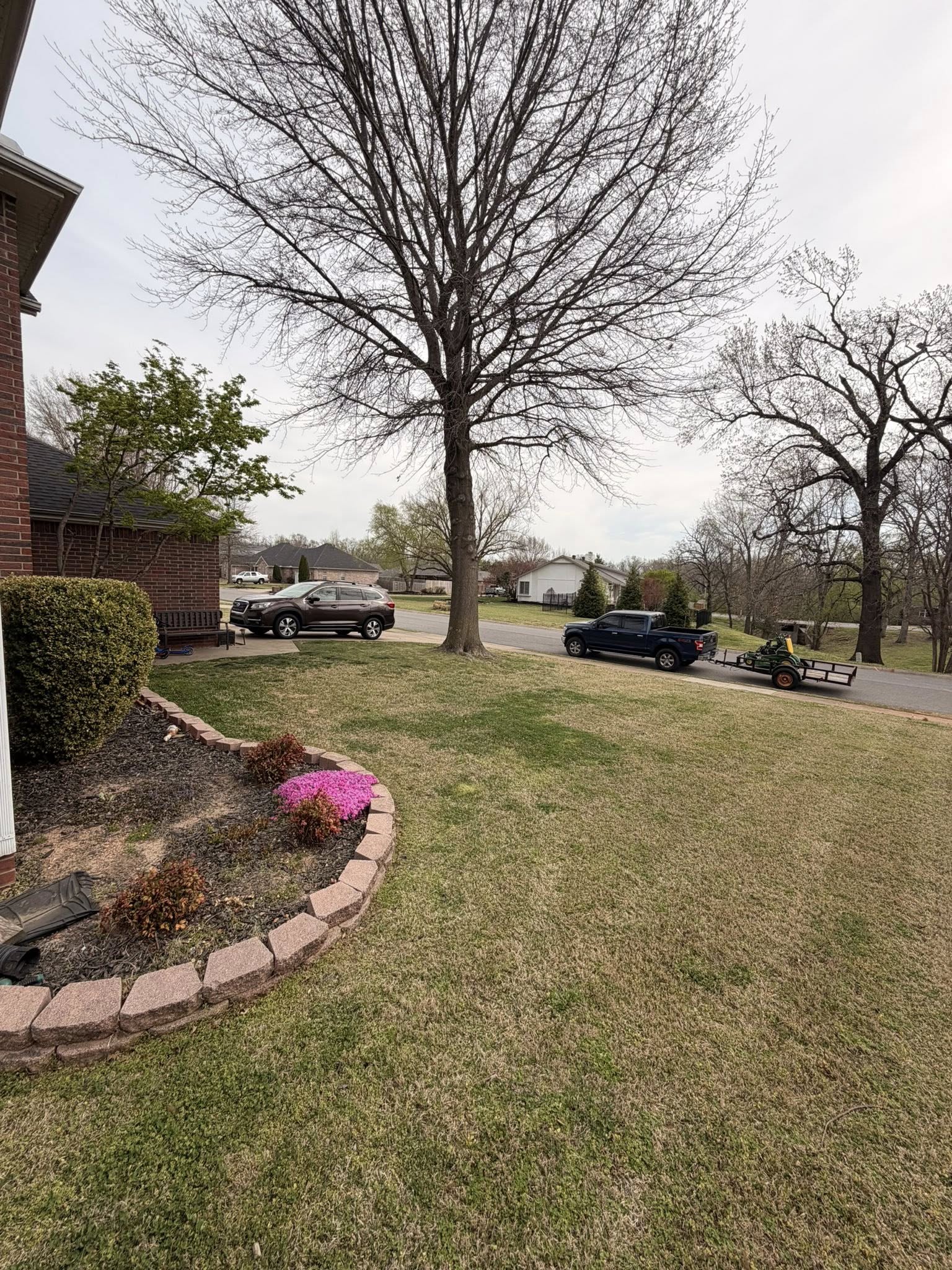 Sharp curb edge front yard